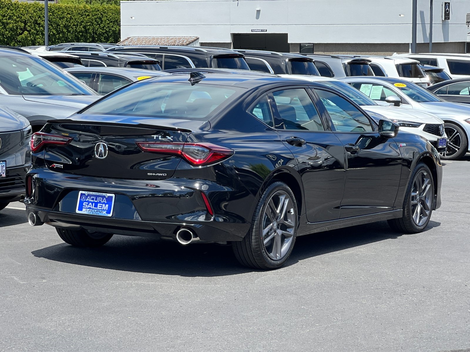 new 2025 Acura TLX car