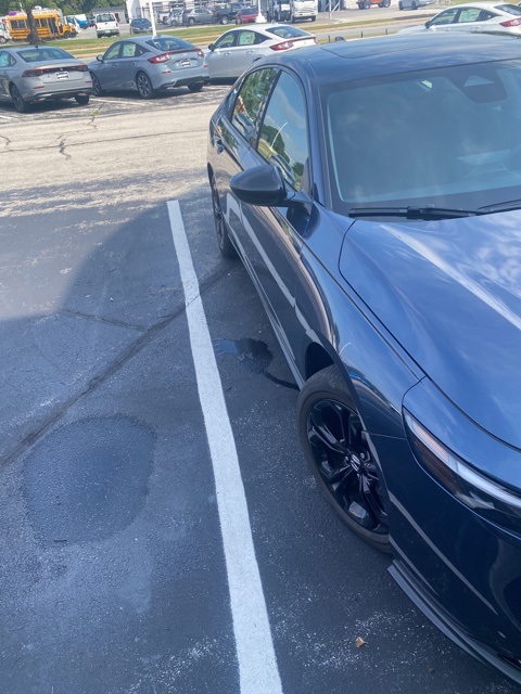 used 2025 Honda Accord car, priced at $30,995