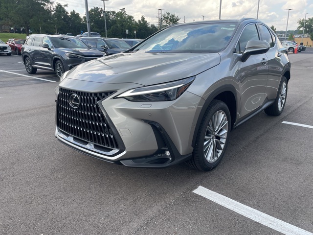 new 2025 Lexus NX car, priced at $58,134
