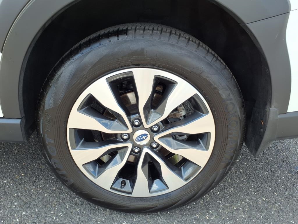 used 2023 Subaru Outback car