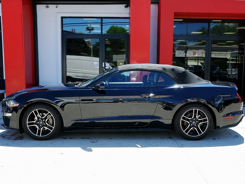 used 2022 Ford Mustang car, priced at $17,495