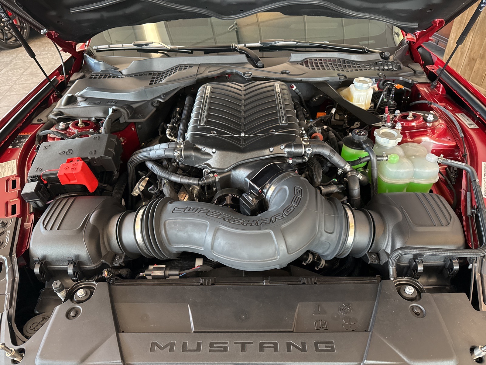 used 2024 Ford Mustang car, priced at $139,998
