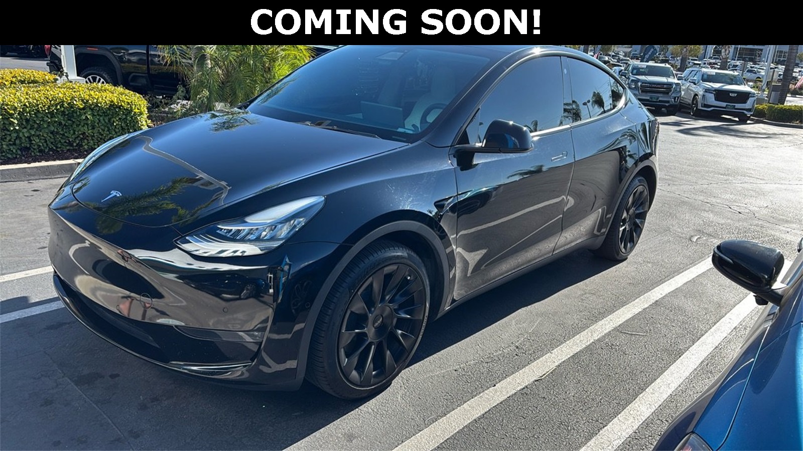 used 2021 Tesla Model Y car, priced at $27,997