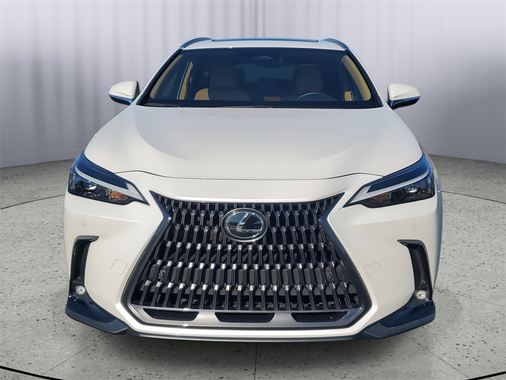 used 2025 Lexus NX car, priced at $44,998