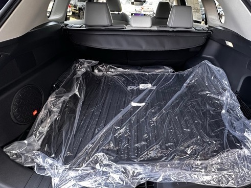 new 2025 Toyota RAV4 car
