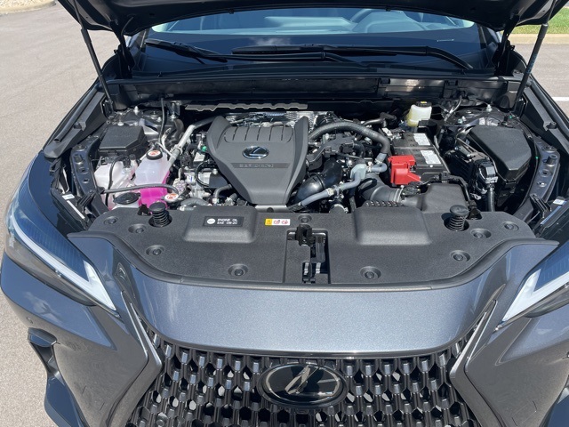 new 2025 Lexus NX car, priced at $52,304