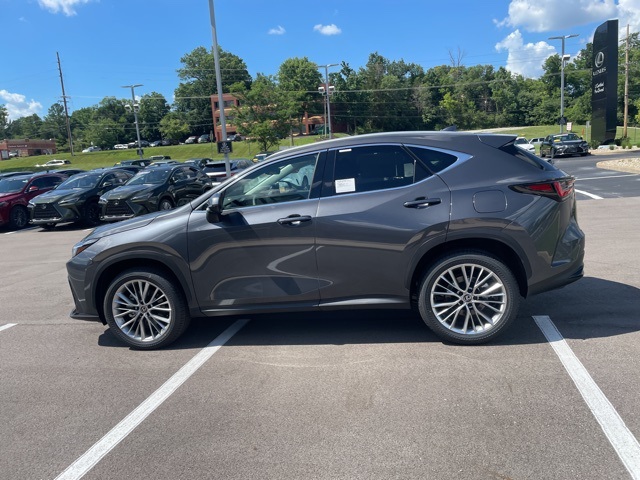 new 2025 Lexus NX car, priced at $52,304