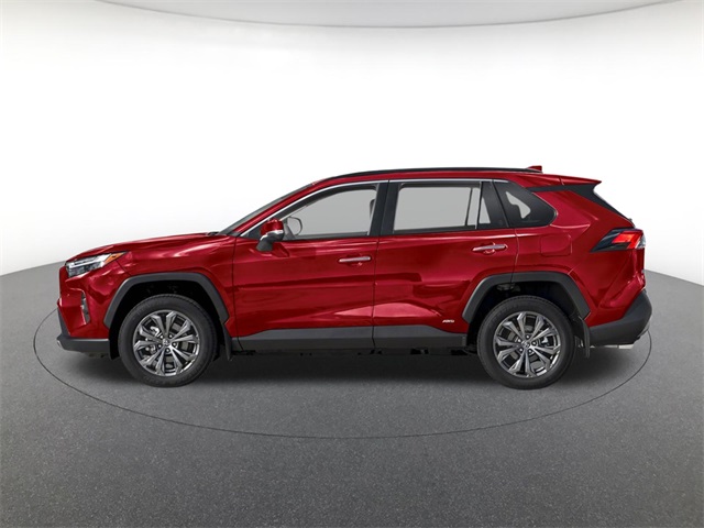 new 2025 Toyota RAV4 Hybrid car