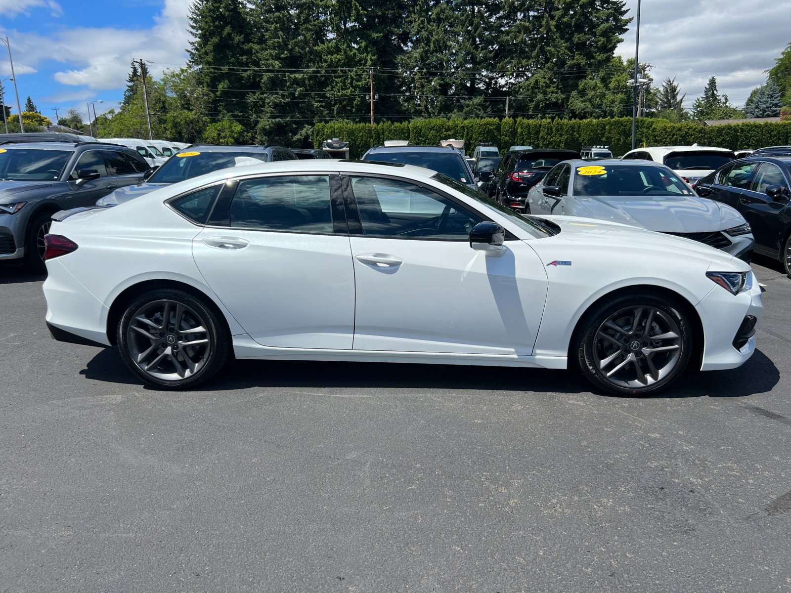 new 2025 Acura TLX car