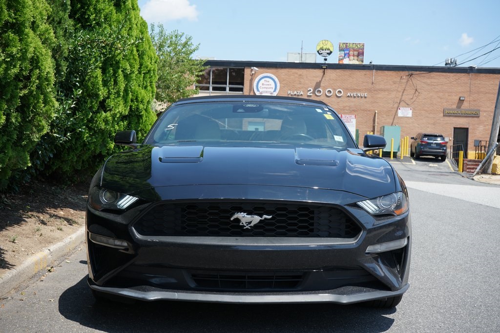 used 2022 Ford Mustang car, priced at $17,995