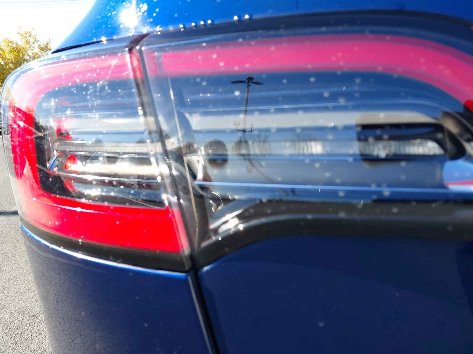 used 2021 Tesla Model Y car, priced at $25,967