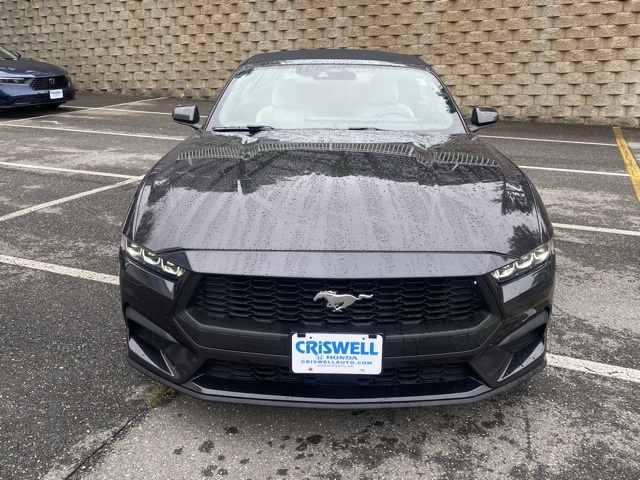 used 2024 Ford Mustang car, priced at $29,636