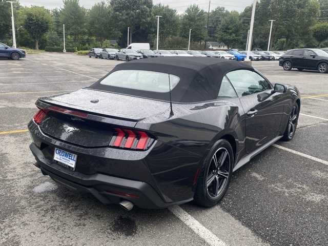 used 2024 Ford Mustang car, priced at $29,636
