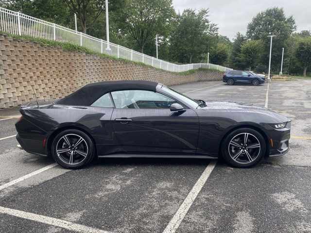 used 2024 Ford Mustang car, priced at $29,636