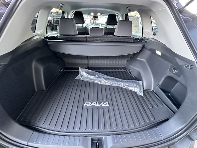 new 2025 Toyota RAV4 car