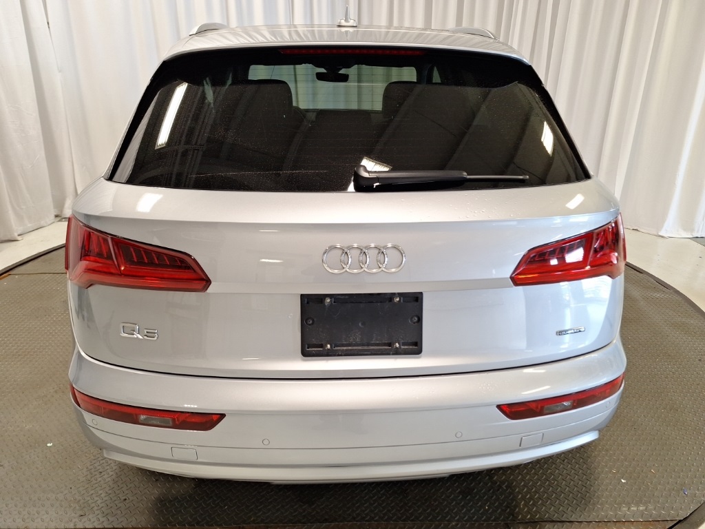 used 2019 Audi Q5 car