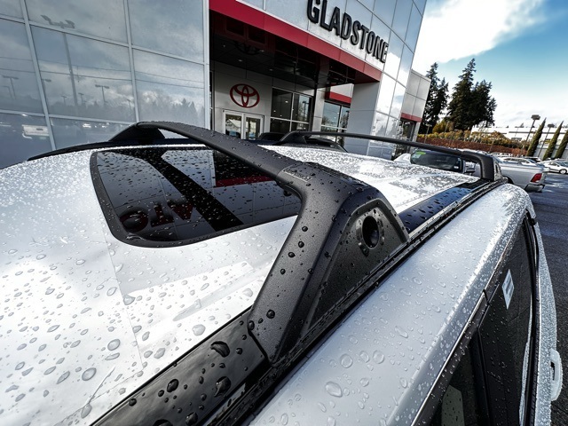 new 2025 Toyota RAV4 Hybrid car